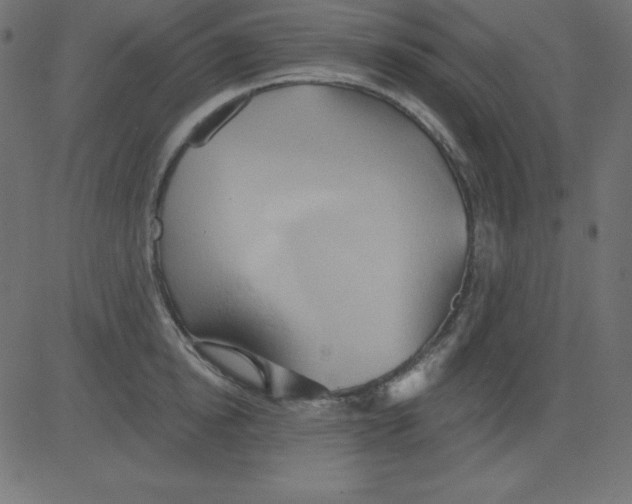 X0000081300854200702012307