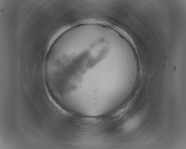 X0000081300855200702012307