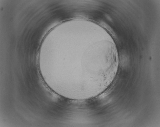 X0000081300856200702012307