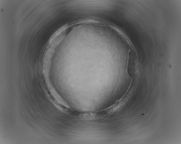 X0000081300858200702012307