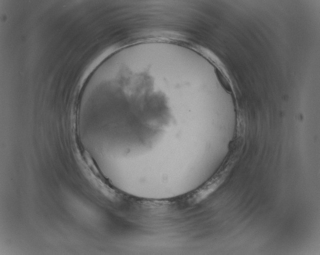 X0000081300859200702012307