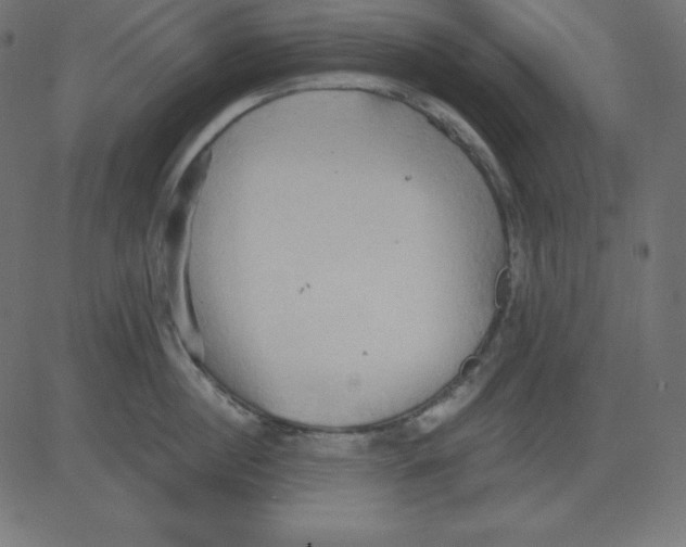 X0000081300860200702012307