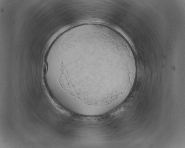 X0000081300861200702012307