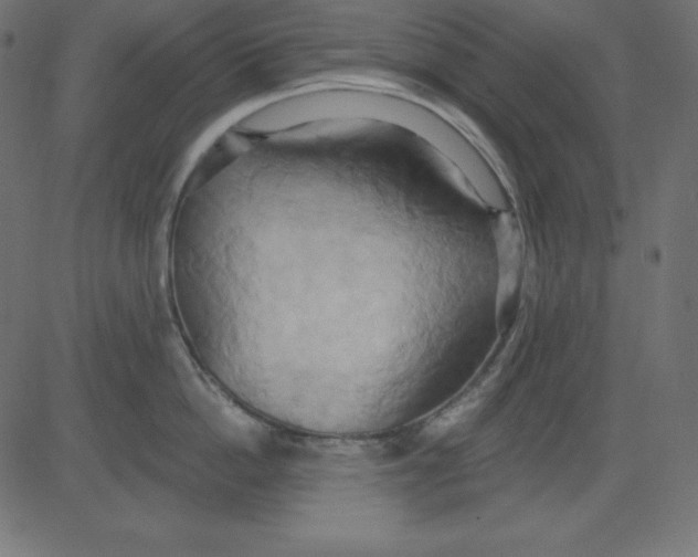 X0000081300862200702012307