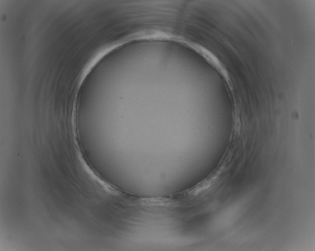 X0000081300863200702012308