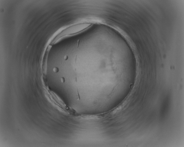 X0000081300864200702012308