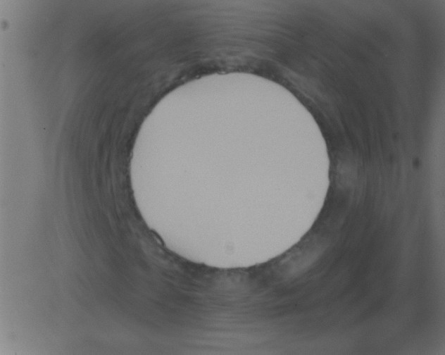 X0000081300865200702012307