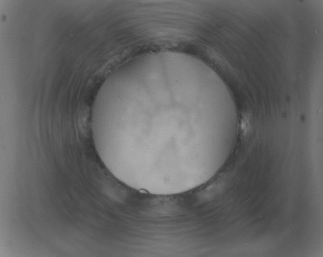 X0000081300867200702012307