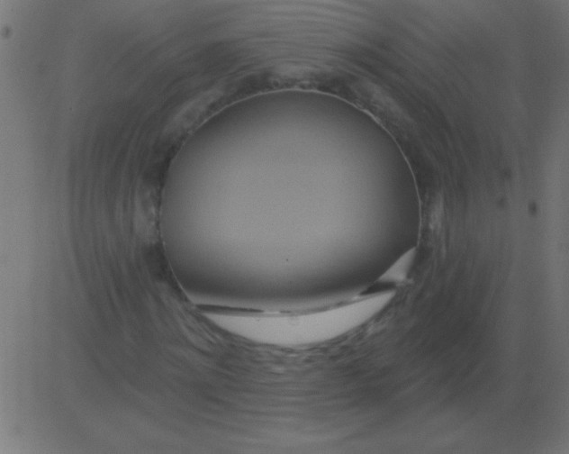 X0000081300868200702012307