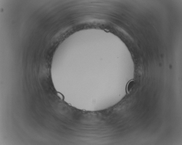 X0000081300869200702012307