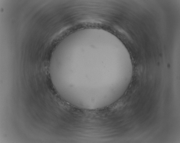 X0000081300870200702012307