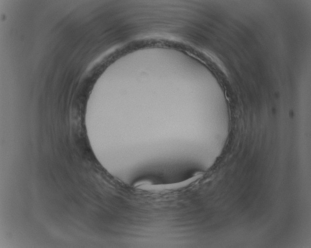 X0000081300872200702012307