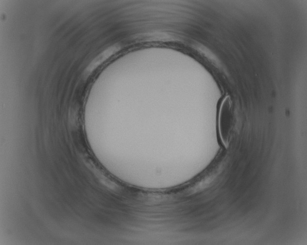 X0000081300873200702012307