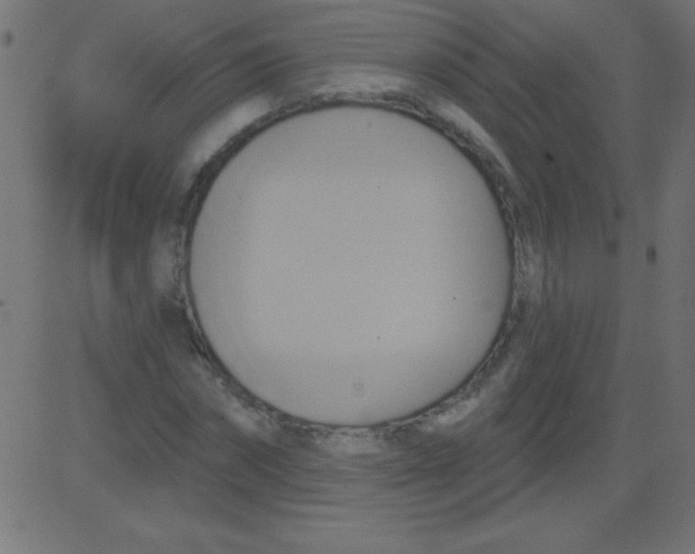 X0000081300874200702012307