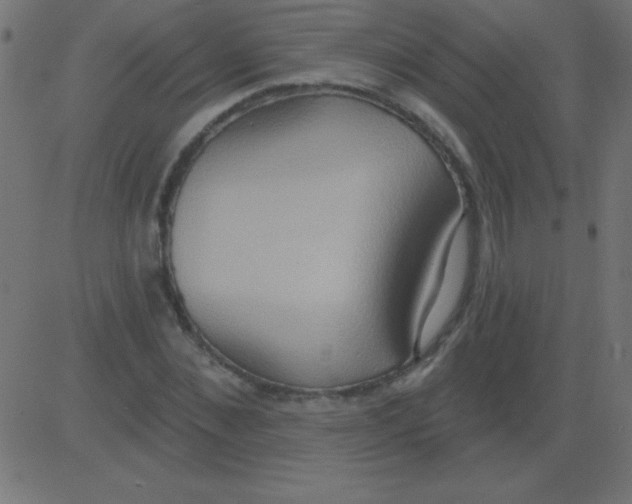 X0000081300876200702012307