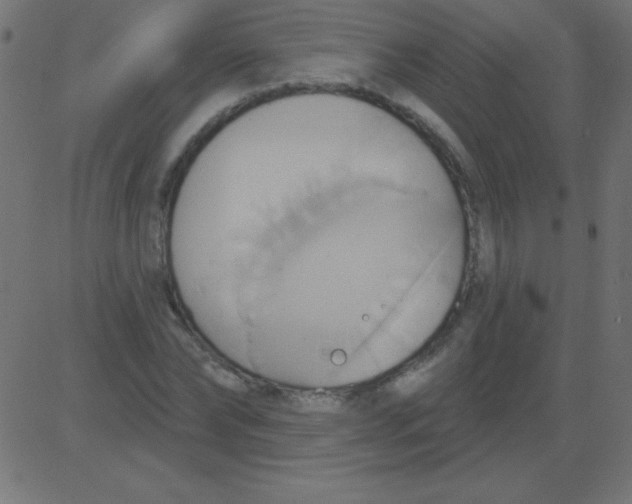 X0000081300878200702012307