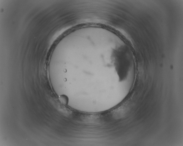 X0000081300879200702012307