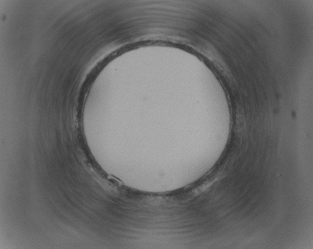 X0000081300880200702012307