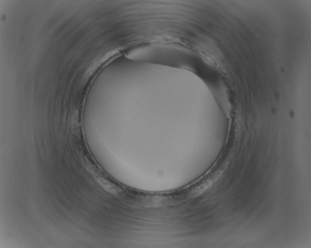 X0000081300881200702012306