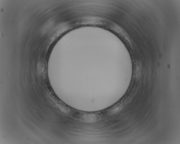 X0000081300882200702012306