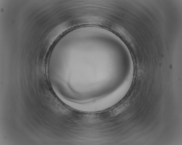 X0000081300883200702012306