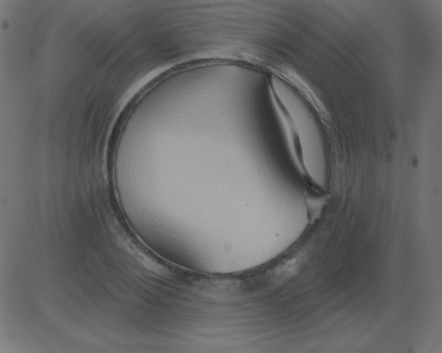 X0000081300884200702012306