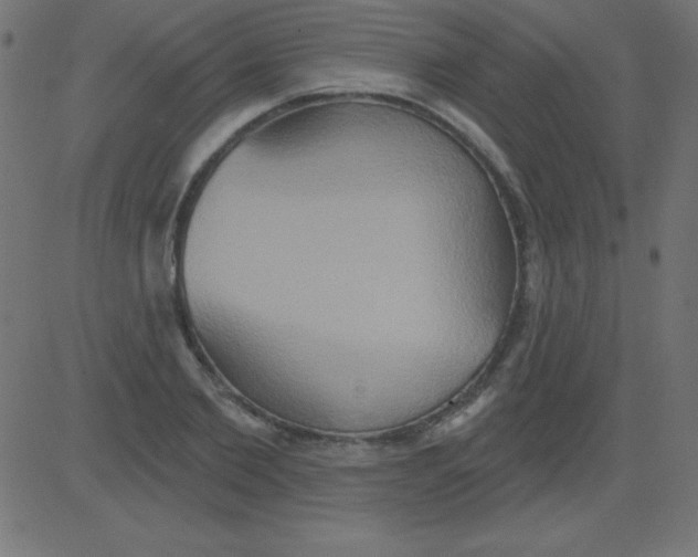 X0000081300885200702012306