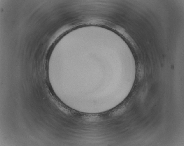 X0000081300886200702012306