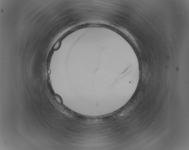 X0000081300887200702012306