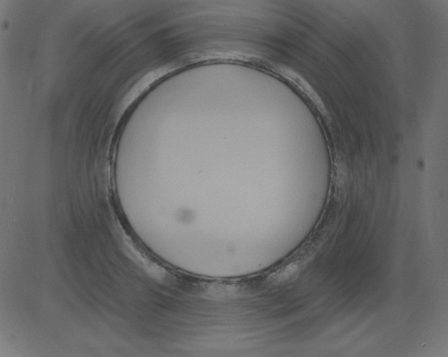 X0000081300890200702012306