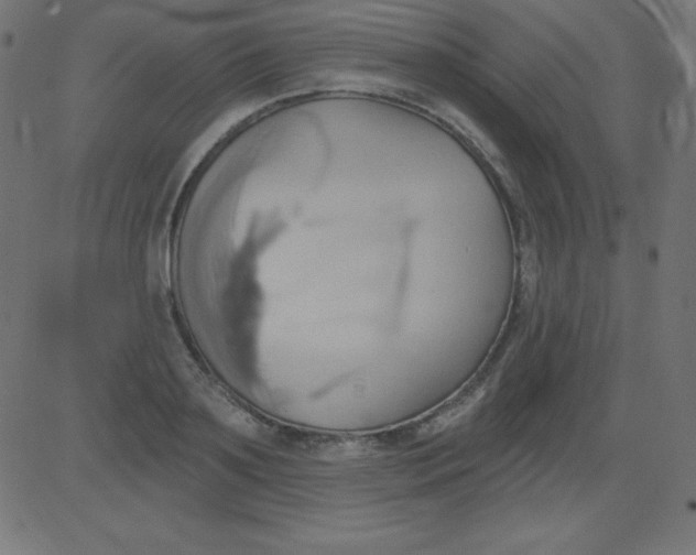 X0000081300891200702012306