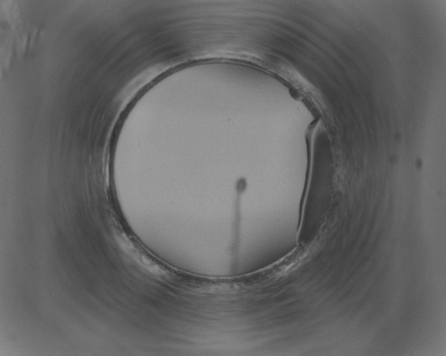 X0000081300892200702012306