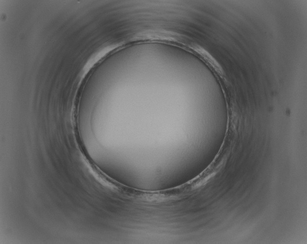 X0000081300893200702012306