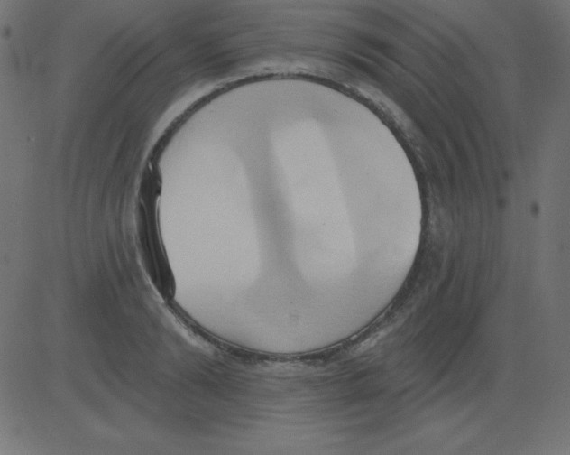 X0000081300894200702012306