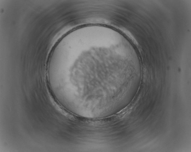 X0000081300895200702012306