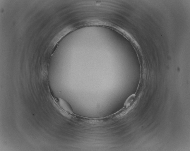 X0000081300897200702012306