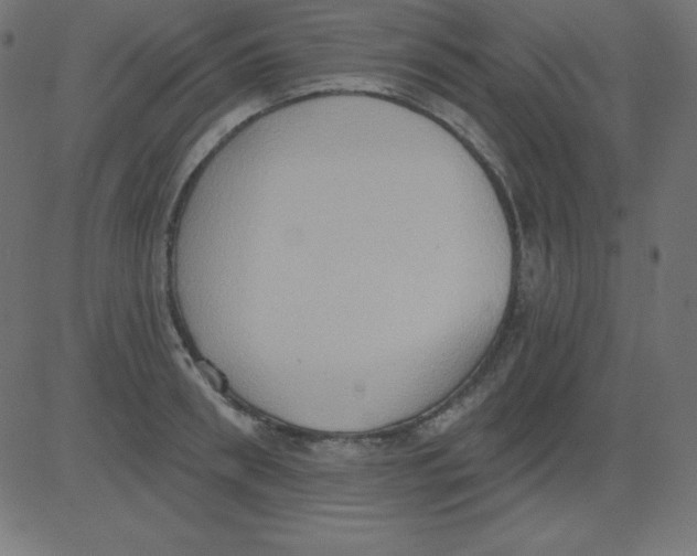 X0000081300898200702012306