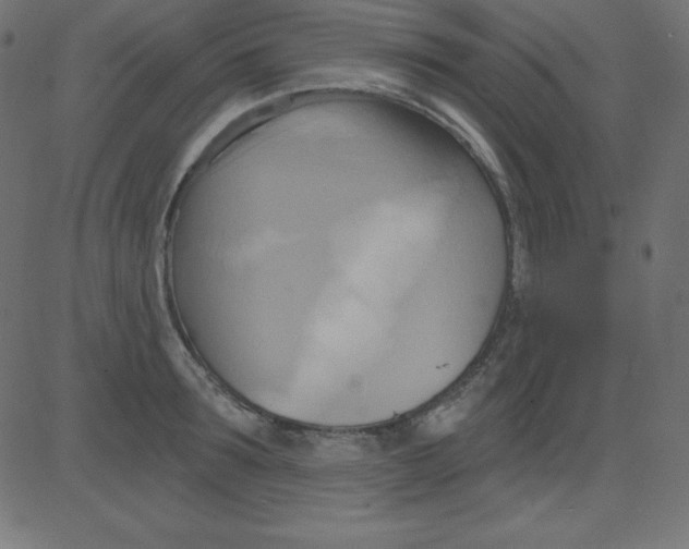 X0000081300899200702012306