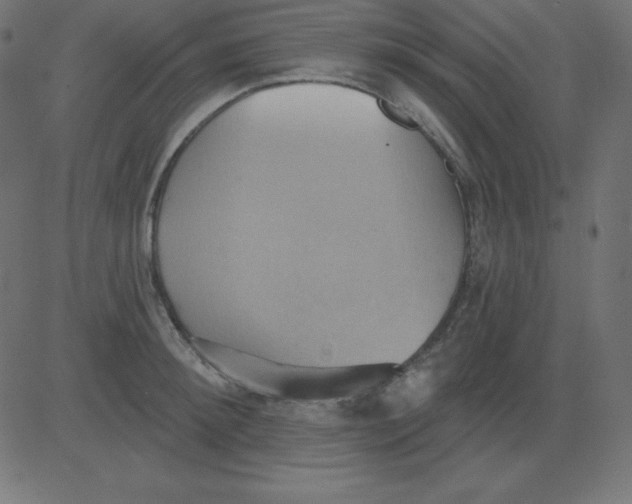 X0000081300900200702012306