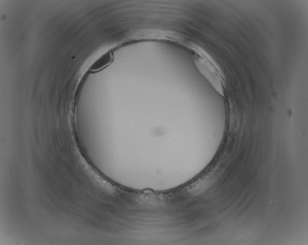 X0000081300901200702012306