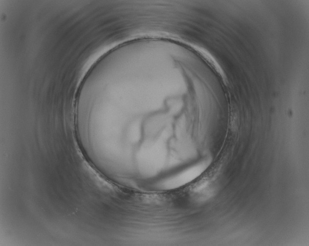 X0000081300903200702012306