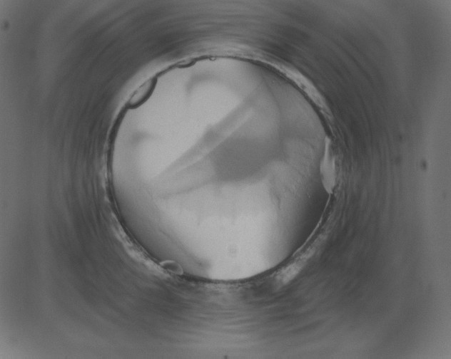 X0000081300904200702012306