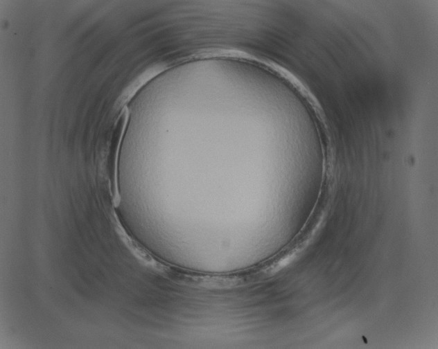 X0000081300905200702012306