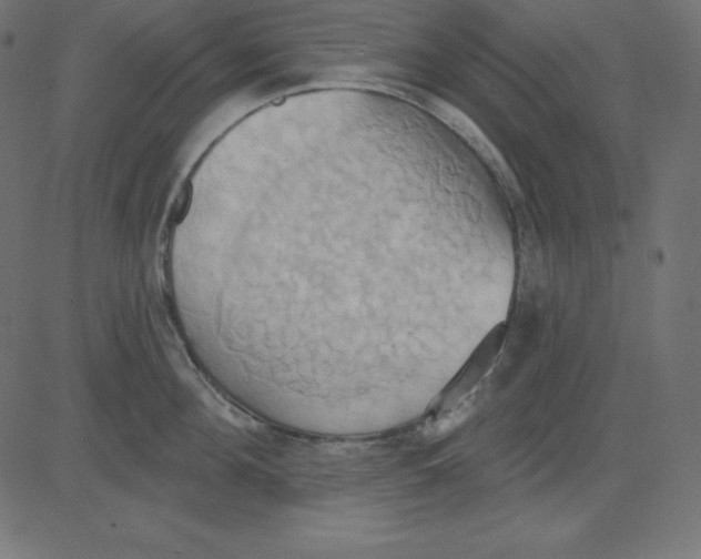 X0000081300908200702012306