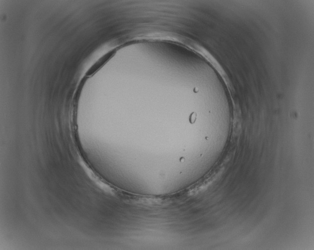 X0000081300909200702012306