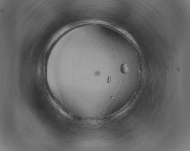 X0000081300910200702012306