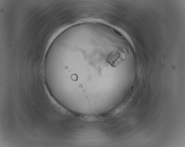 X0000081300911200702012306