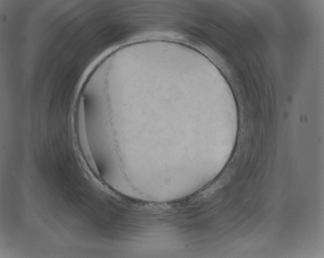 X0000081300912200702012306