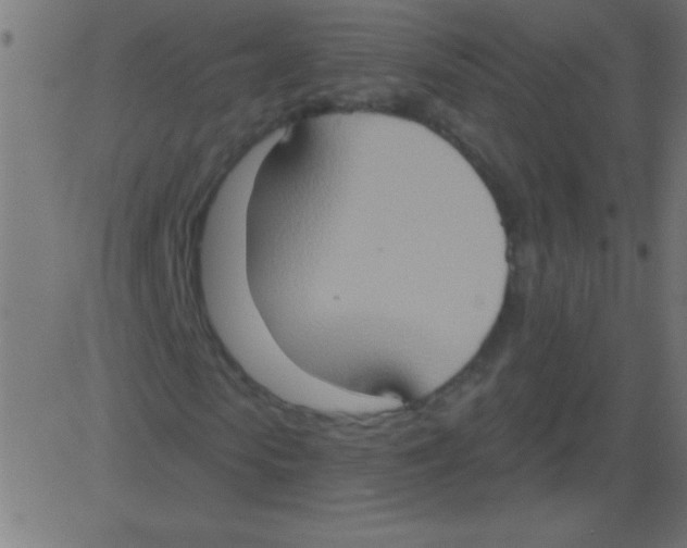 X0000081300913200702012305