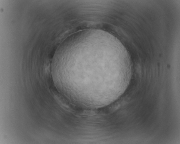 X0000081300914200702012305